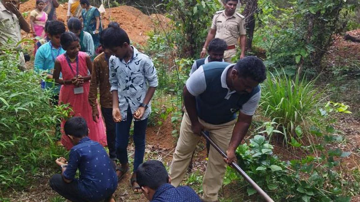 Forest Department begins sowing to rejuvenate green cover lost in forest fire this summer, saplings to be planted next year