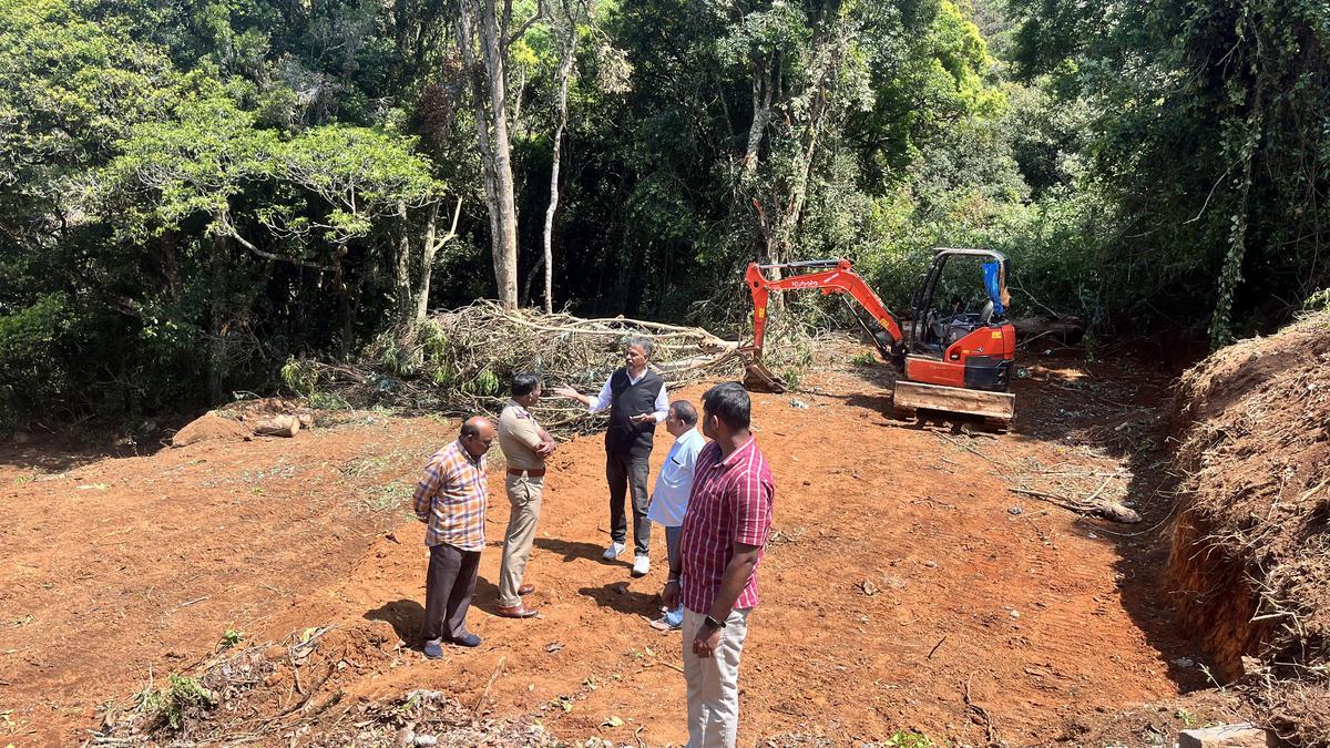 Protest against alleged tree felling in Longwood Shola in Kotagiri