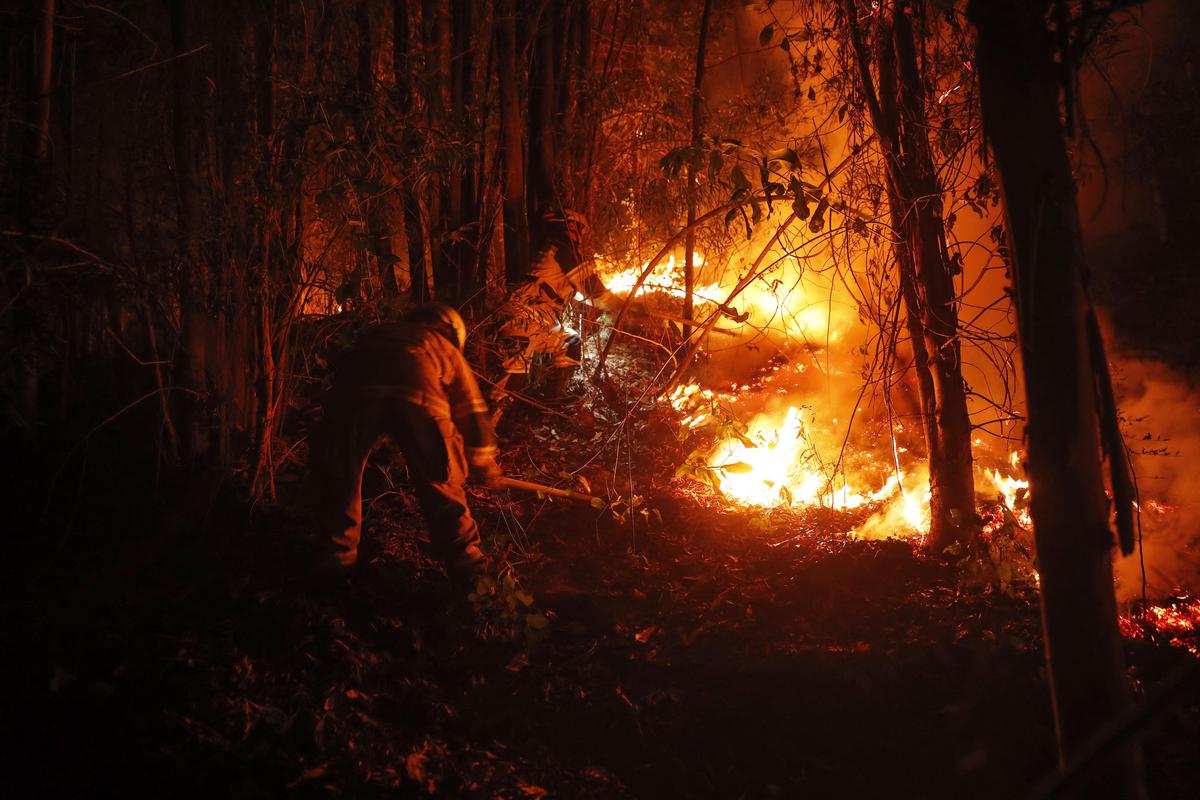 Sube a 23 el número de muertos por incendios forestales en Chile: funcionario
