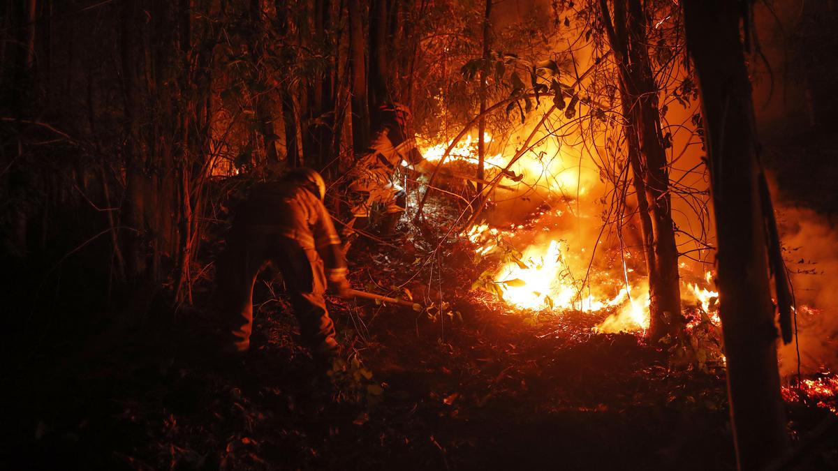 Death toll in Chile forest fires rises to 23: official