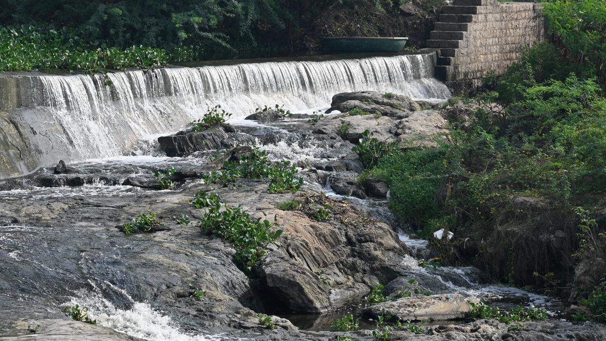 Surampatti anicut receives copious water