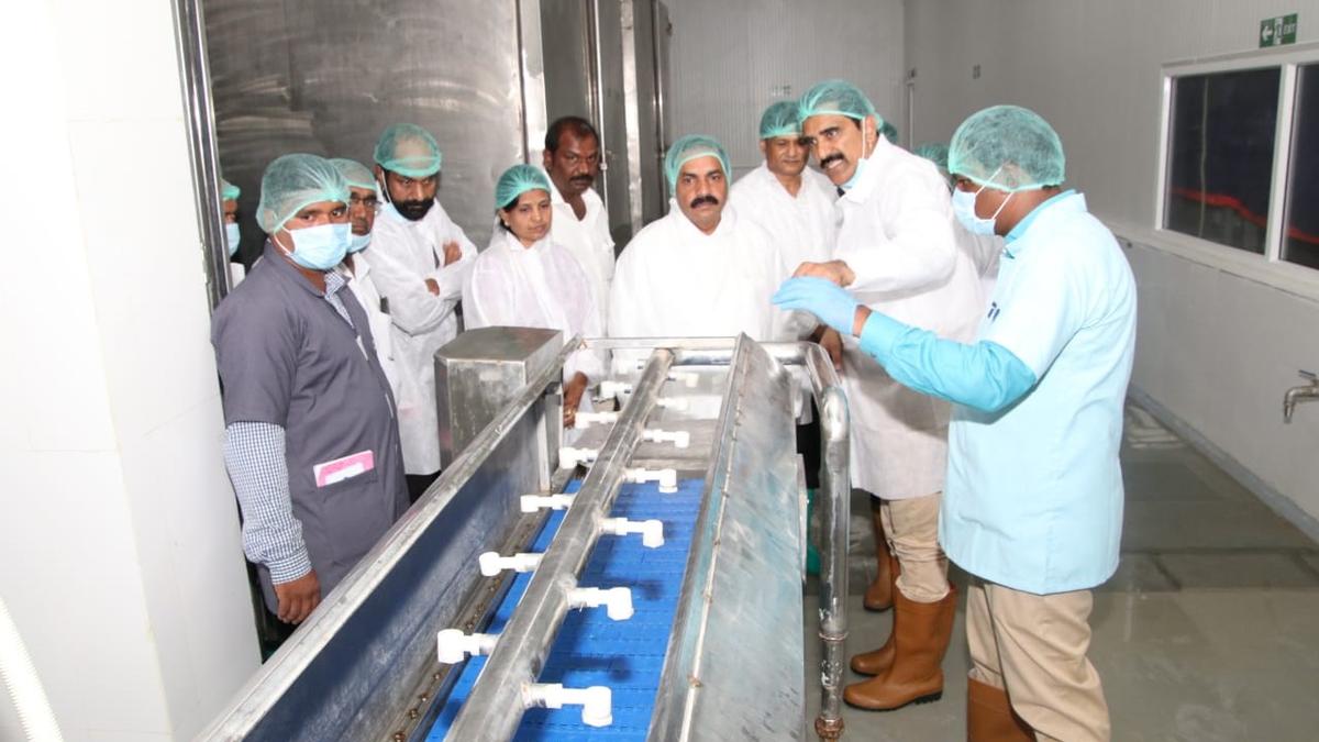 Andhra Pradesh Agri Minister inaugurates renovated shrimp processing