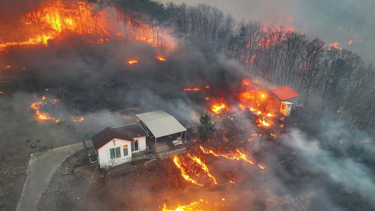 South Korea struggles to contain deadly wildfires