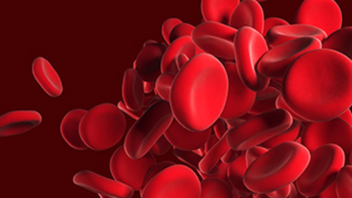 Pfizer’s Haemophilia B Gene Therapy Succeeds In Late-stage Study - The ...