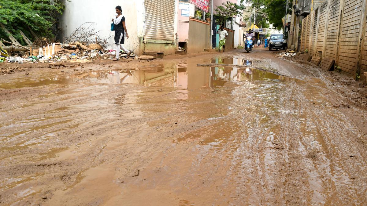 Water stagnation on roads irks residents of Surveyor Colony