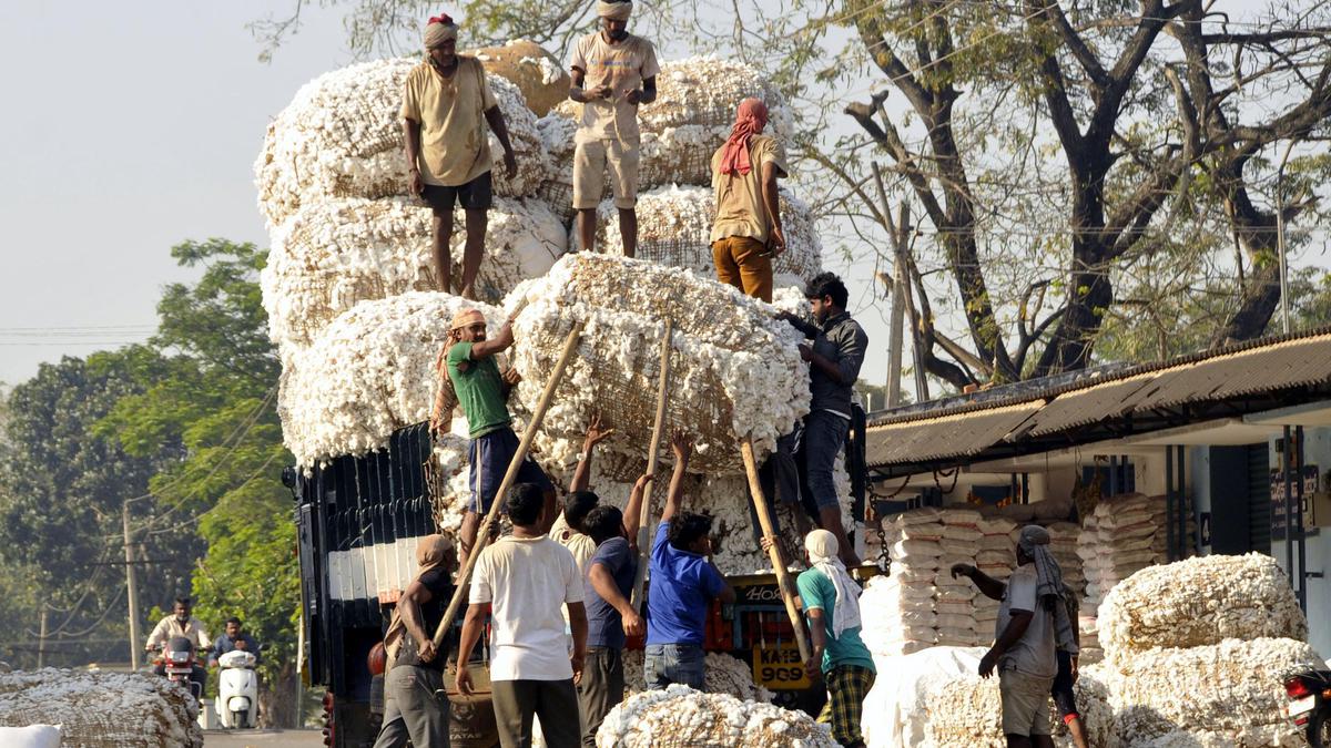 Stakeholders step into new cotton season amid uncertainties