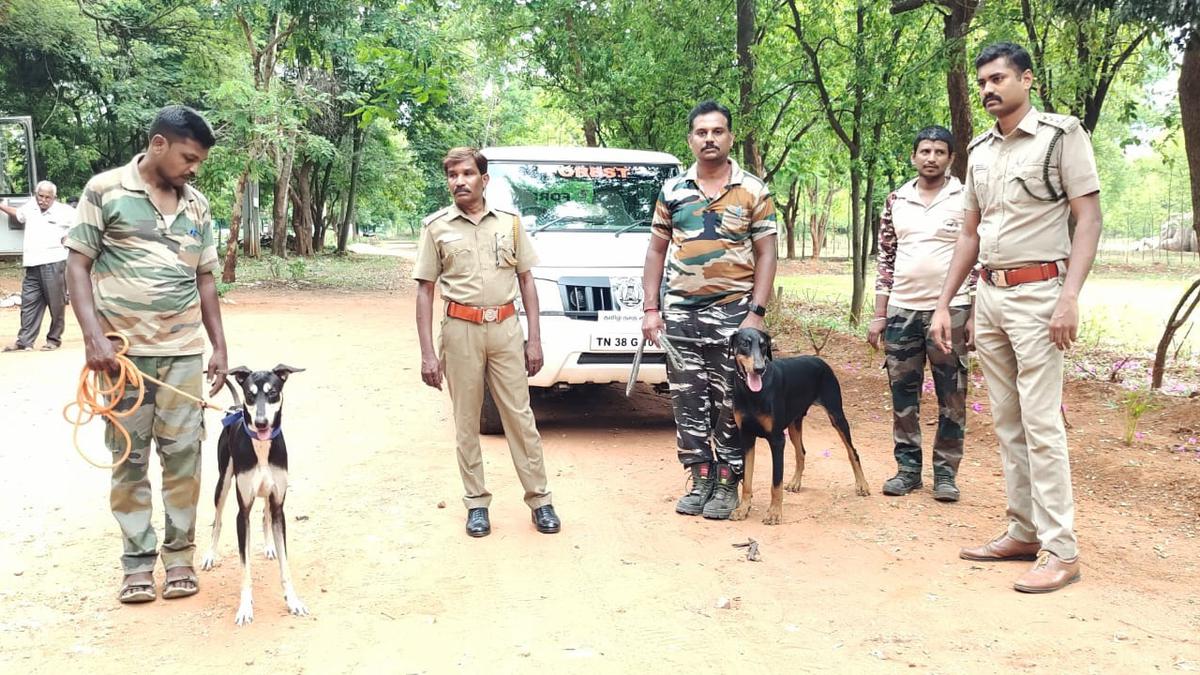 Forest Department, police to conduct joint drive against country-made bombs in Coimbatore district