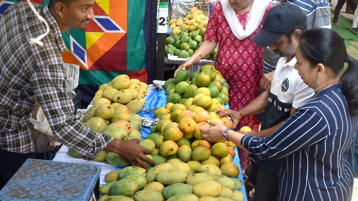 Mango Mela off to a good start in Mysuru