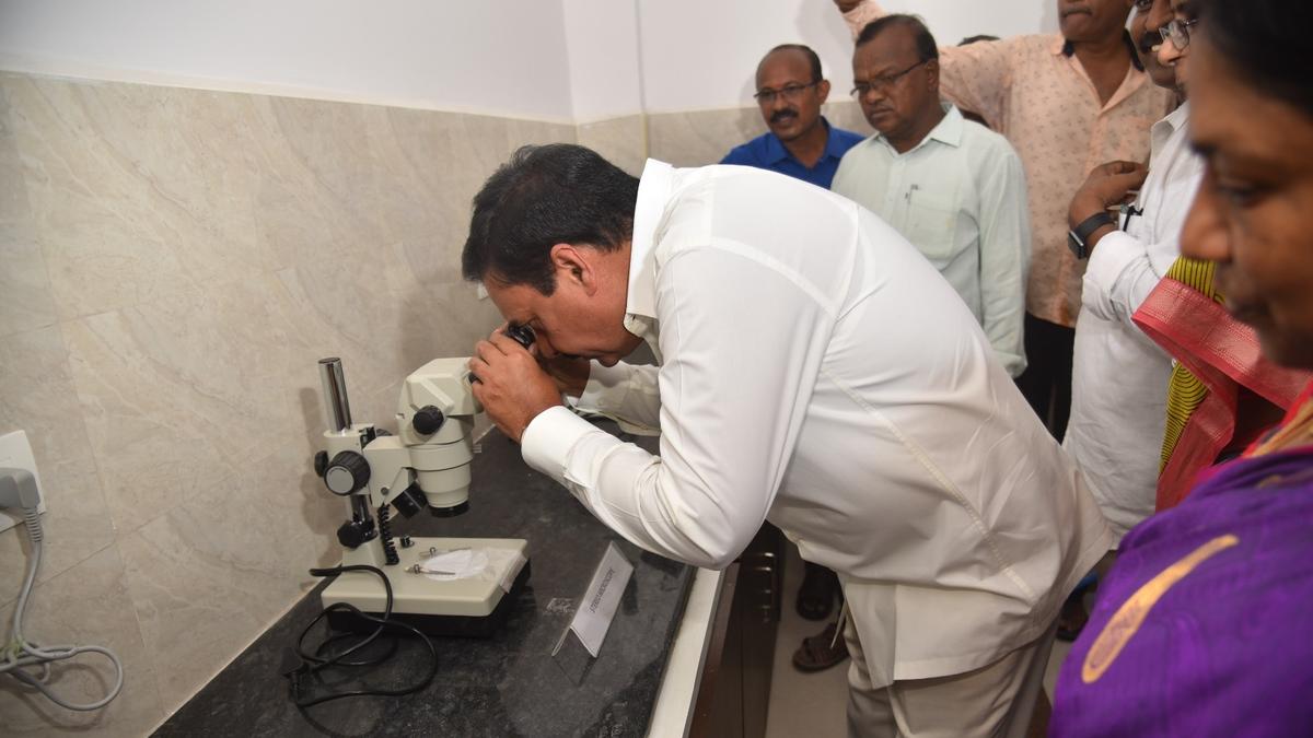 Use biofertilizer to improve yields, Andhra Pradesh Agriculture