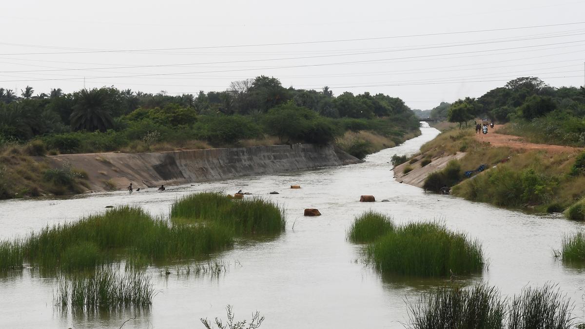 WRD set to start repair work in Link Canal, crucial connectivity between Poondi and Chembarambakkam reservoirs this month
