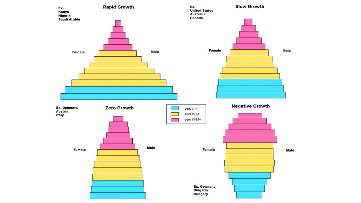 A population age pyramid is a visual and graphical representation of a population’s age and sex distribution.