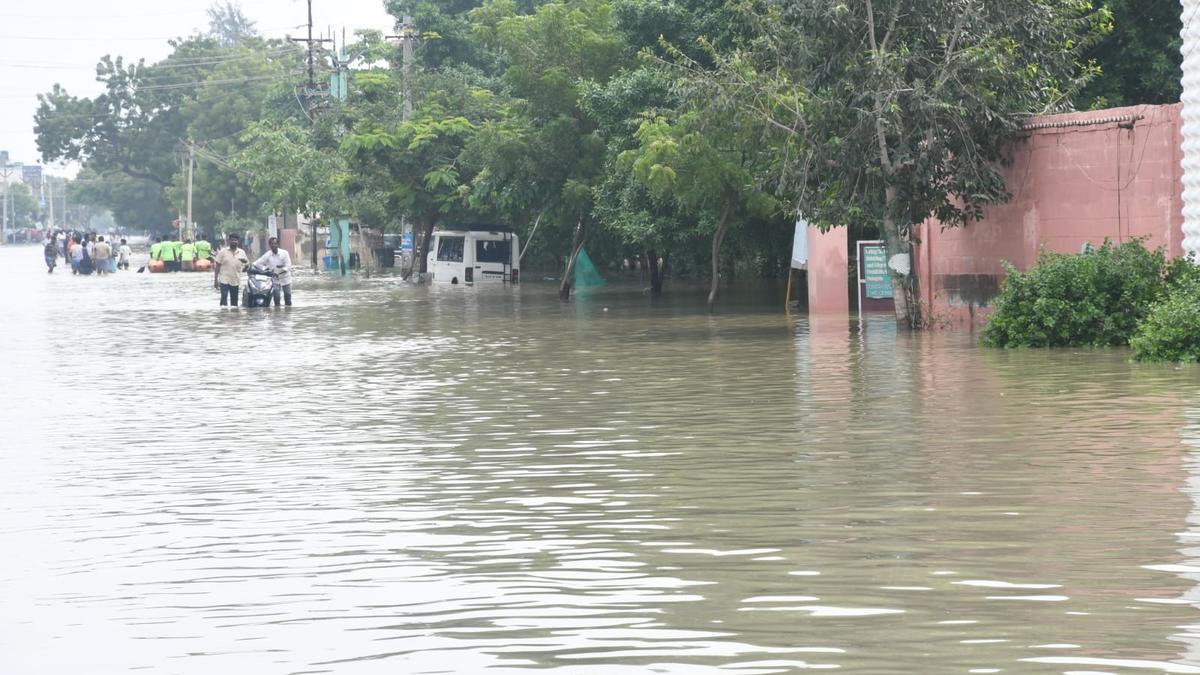T.N. Rains | Residents complain of bodies immersed in rainwater, missing persons