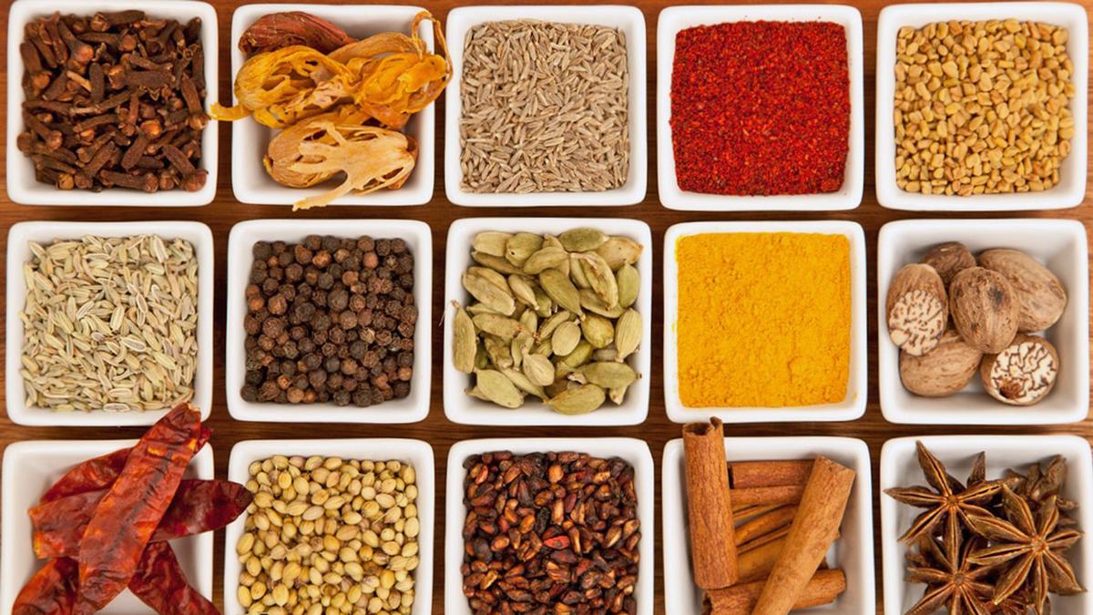 The flavour imperative: why taste must lead India’s nutrition evolution
