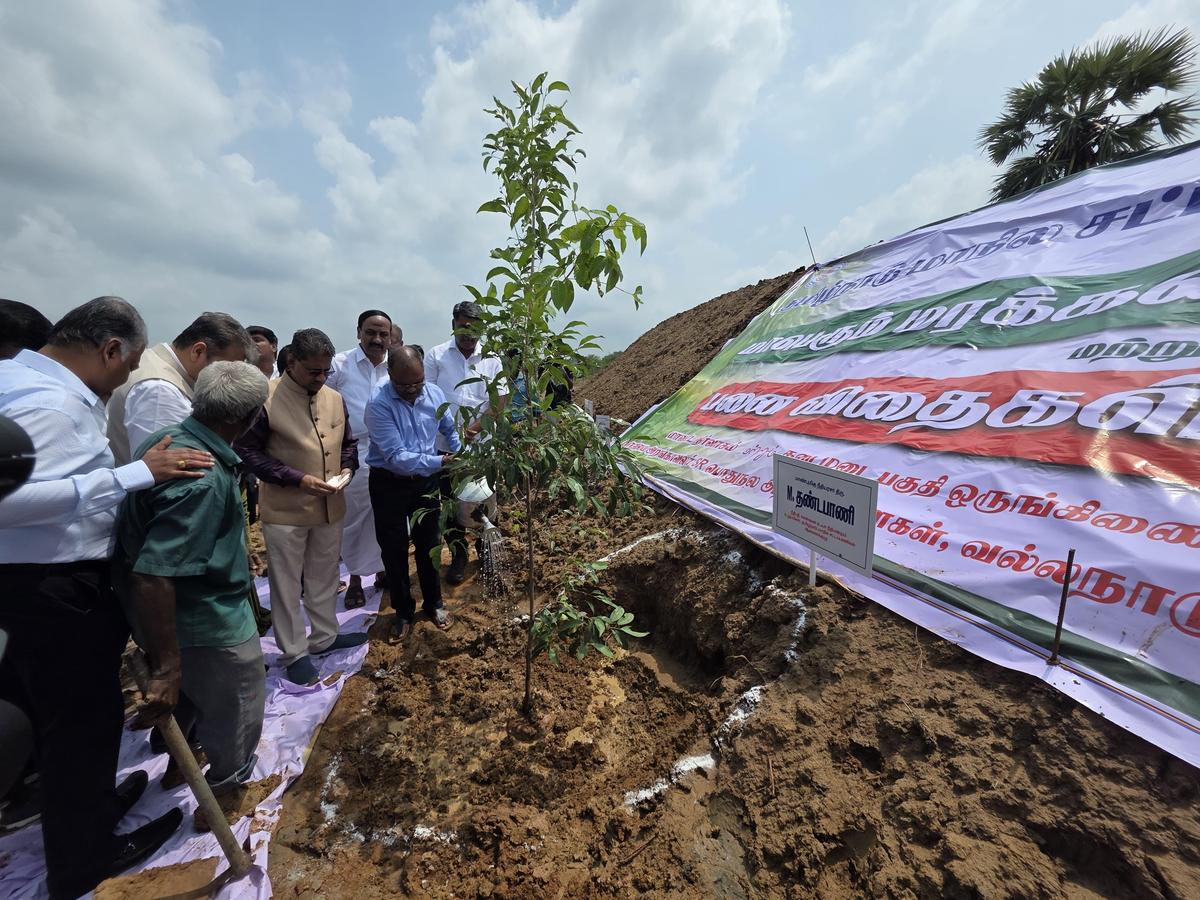 Officials planting saplings on the banks of the Vallanadu Kanmai, a water body covering 1,500 acres in Pudukottai district, that was restored recently by KAIFA.