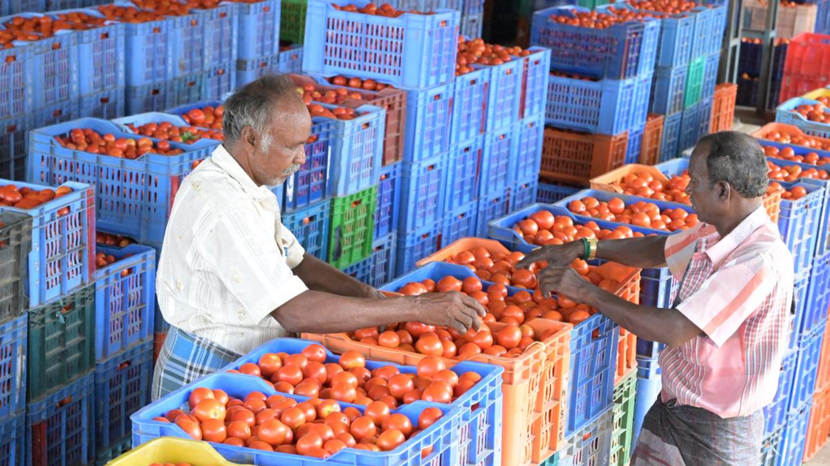 Tamil Nadu election 2026: Two-cornered contest in Vepanahalli constituency