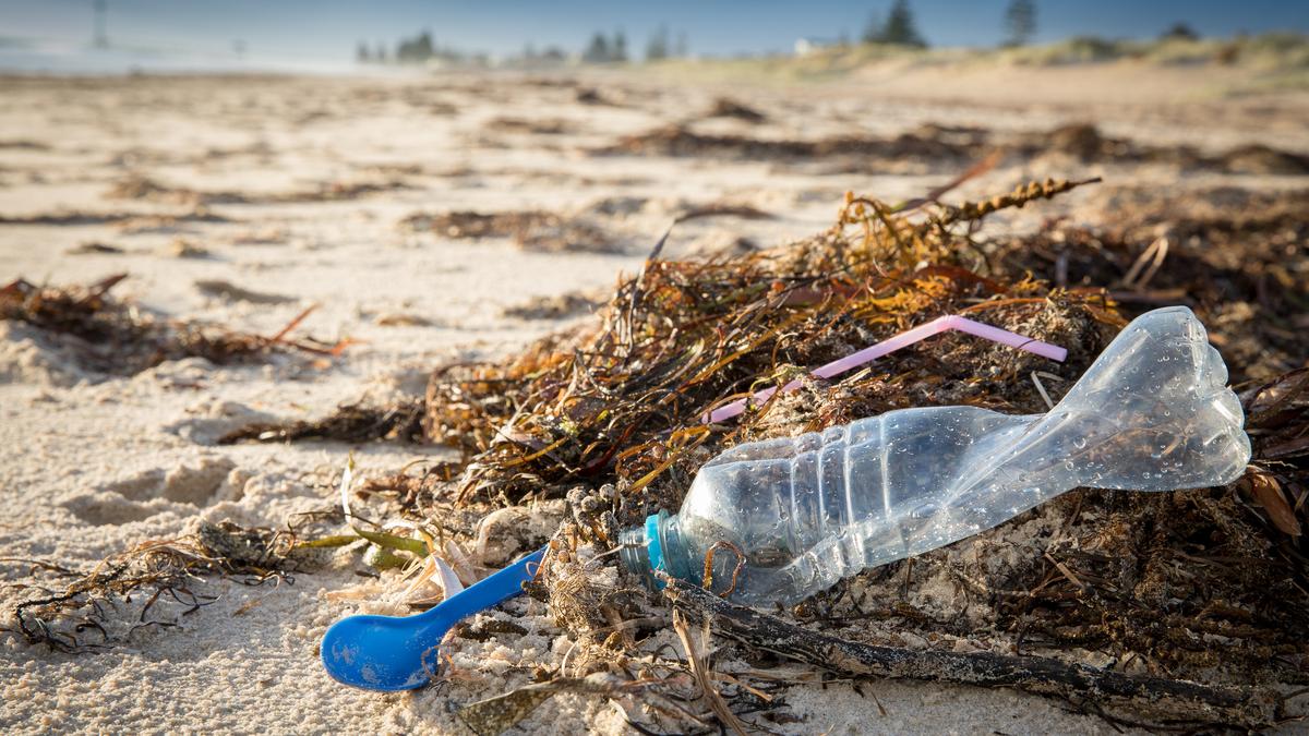 Earth Day 2026: India’s plastic crisis and blame game