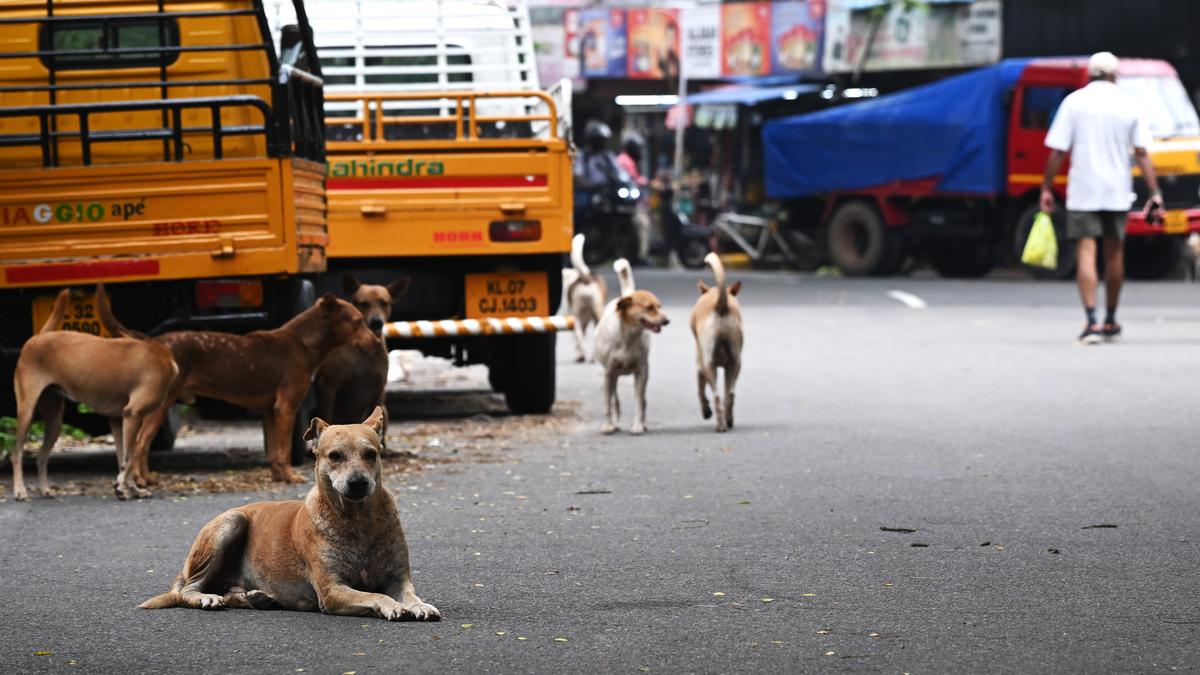 Kerala News