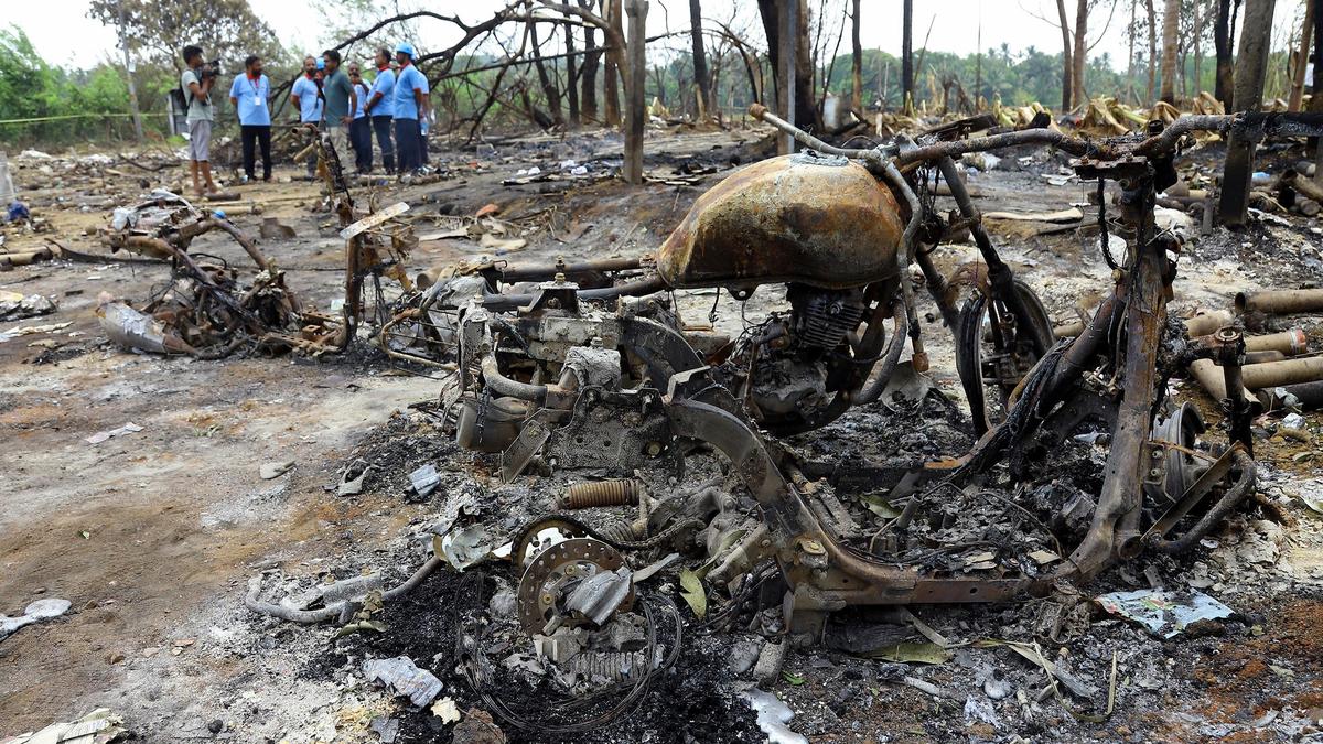Calls to do away with elephants, fireworks in temple festivals get louder in Kerala