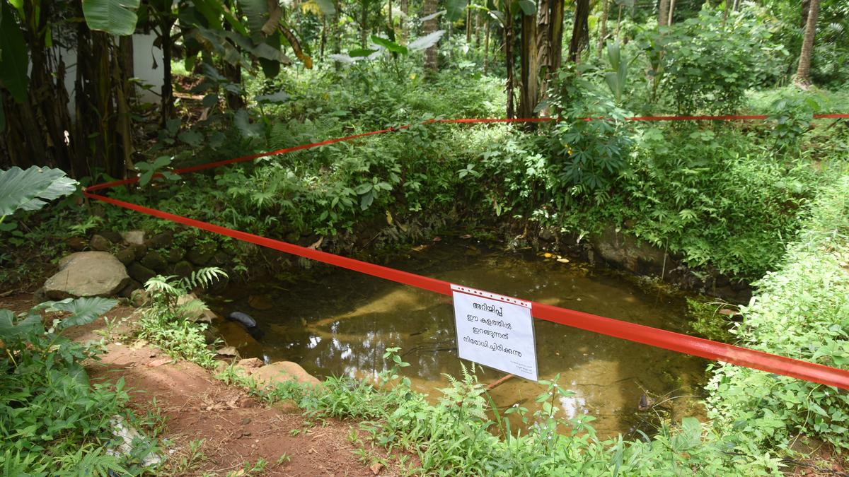 Amoebic meningoencephalitis emerges a major health concern in Kerala