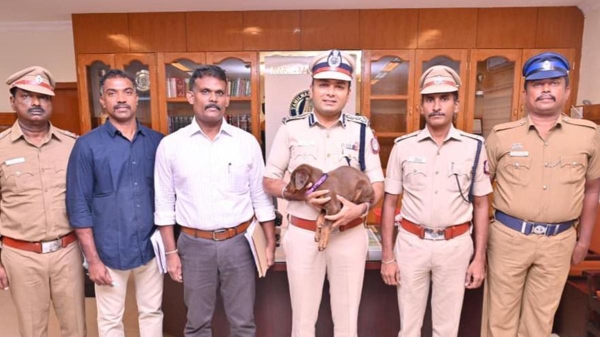 Sniffer dog wing welcomes puppy &lsquo;Brownie&rsquo;