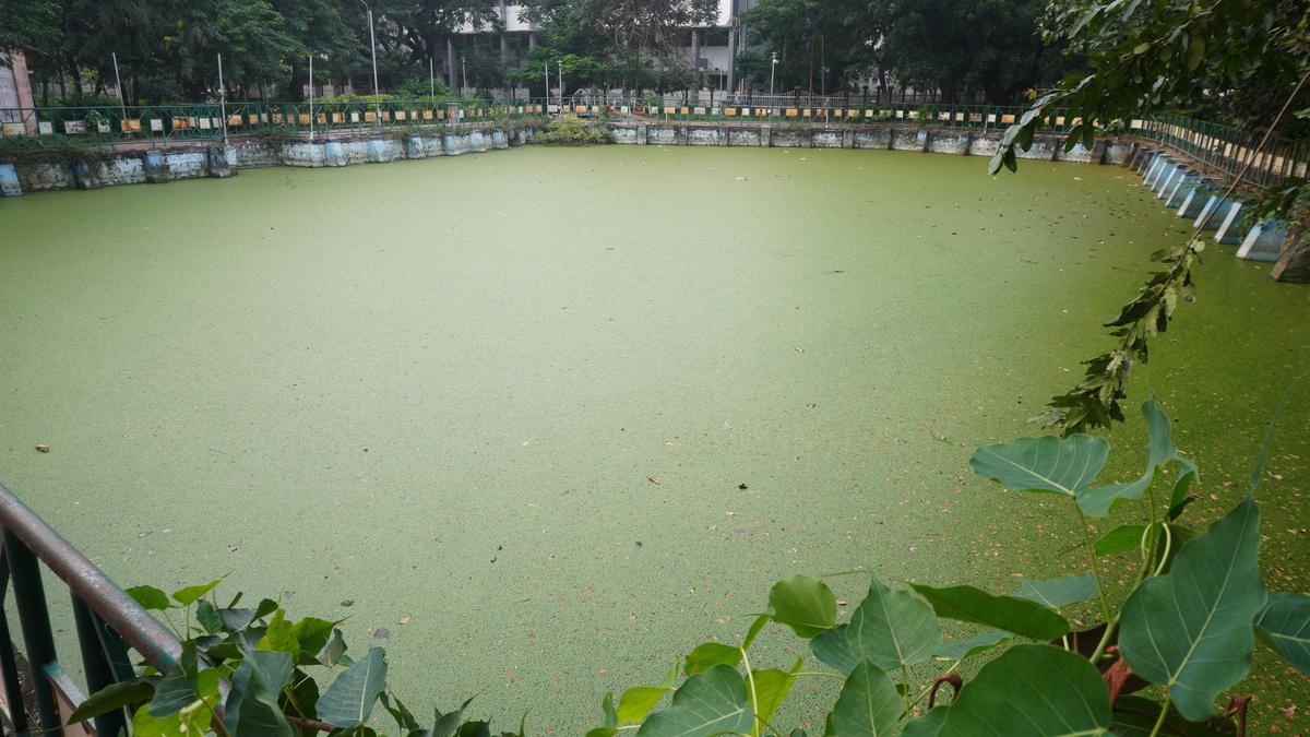 Eco Park cries for attention as users call for sprucing up green lung space