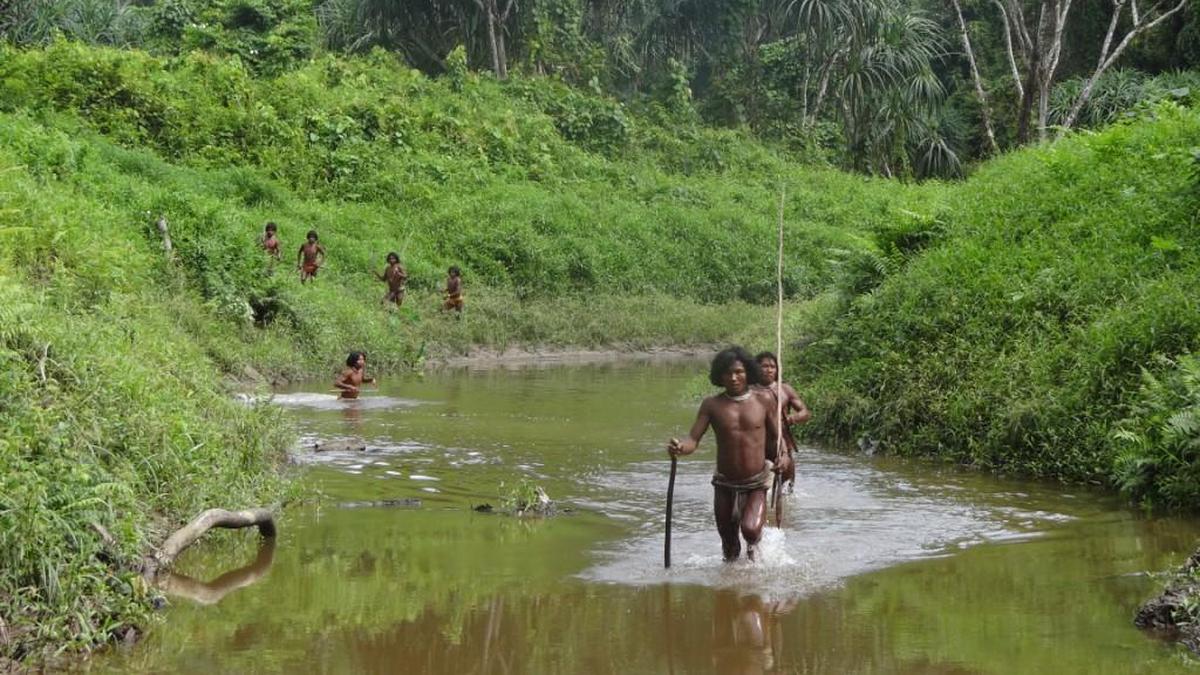 
	Nicobar project will not disturb or displace tribes: Environment Minister Bhupendra Yadav  - The Hindu
