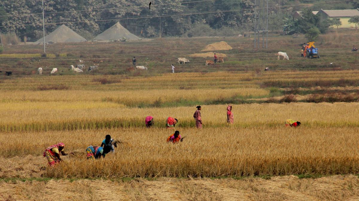 Women work harder than men – our anthropological study reveals why