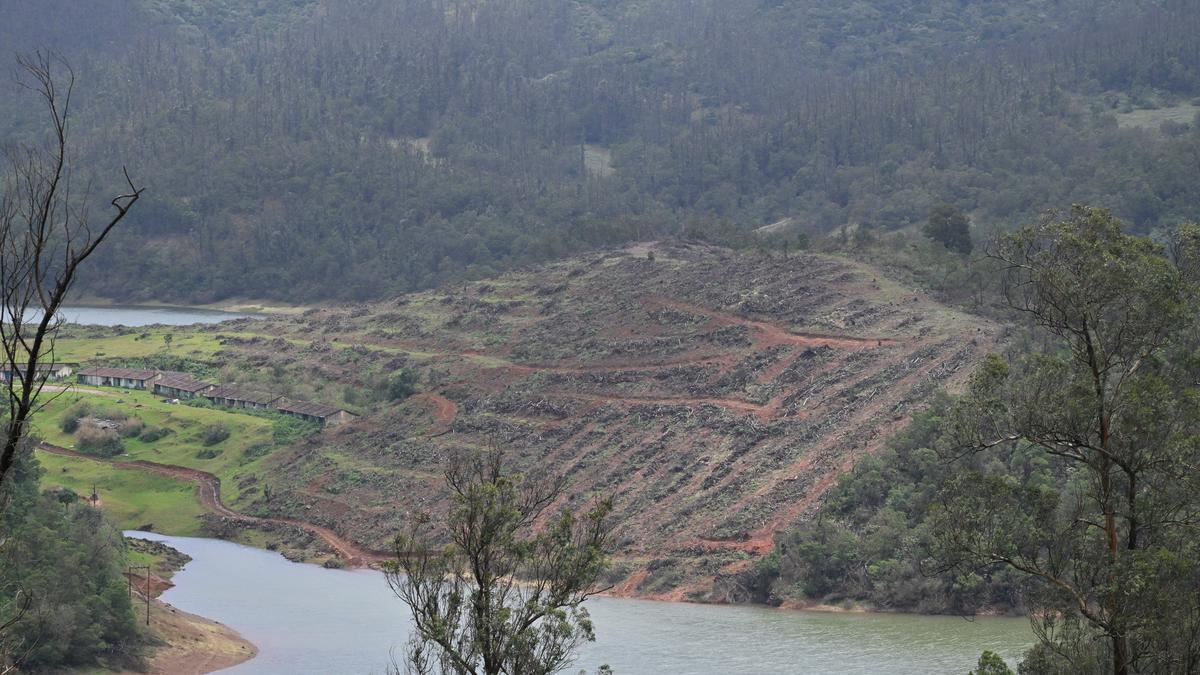 A hydroelectric project that could harm the Nilgiri Tahr habitat