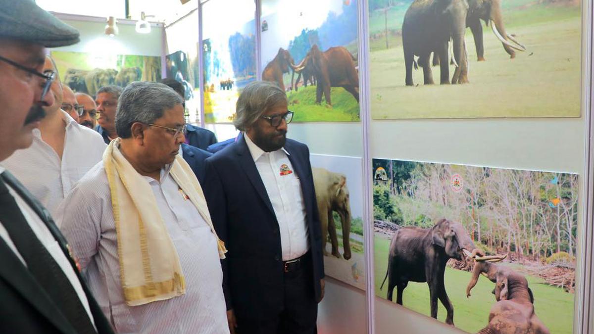 Bengaluru Charter to mitigate human-wildlife conflict adopted