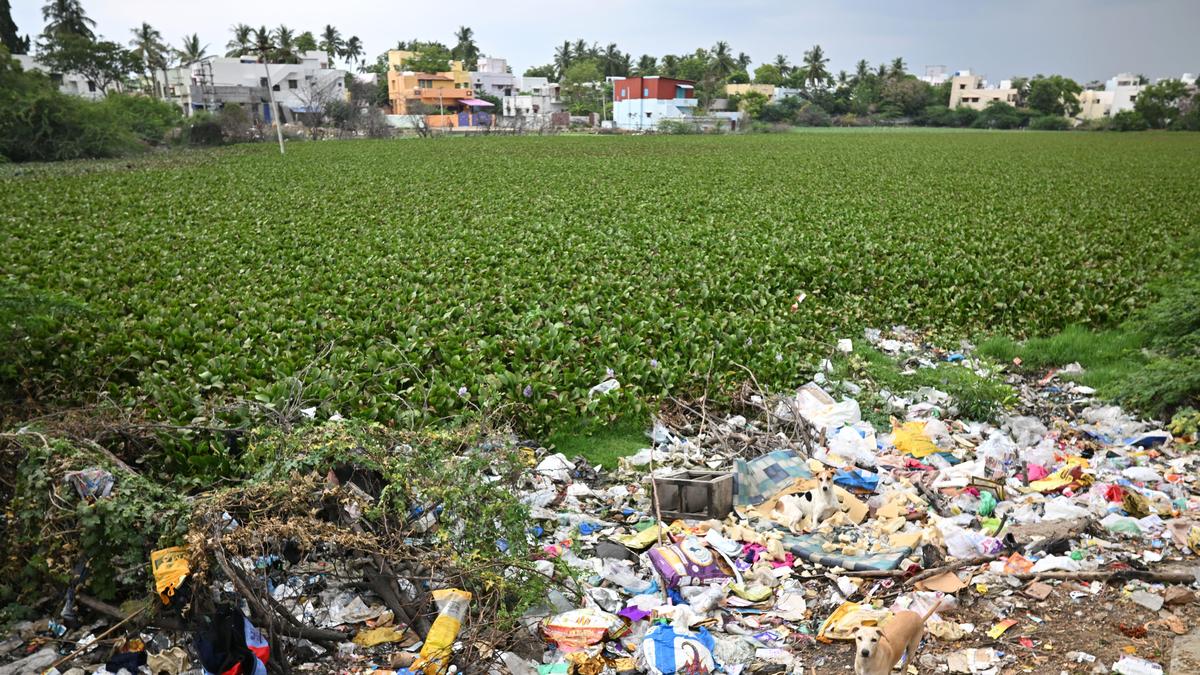 Urgent action demanded to save Athikulam, Periyakulam tanks from pollution, encroachments