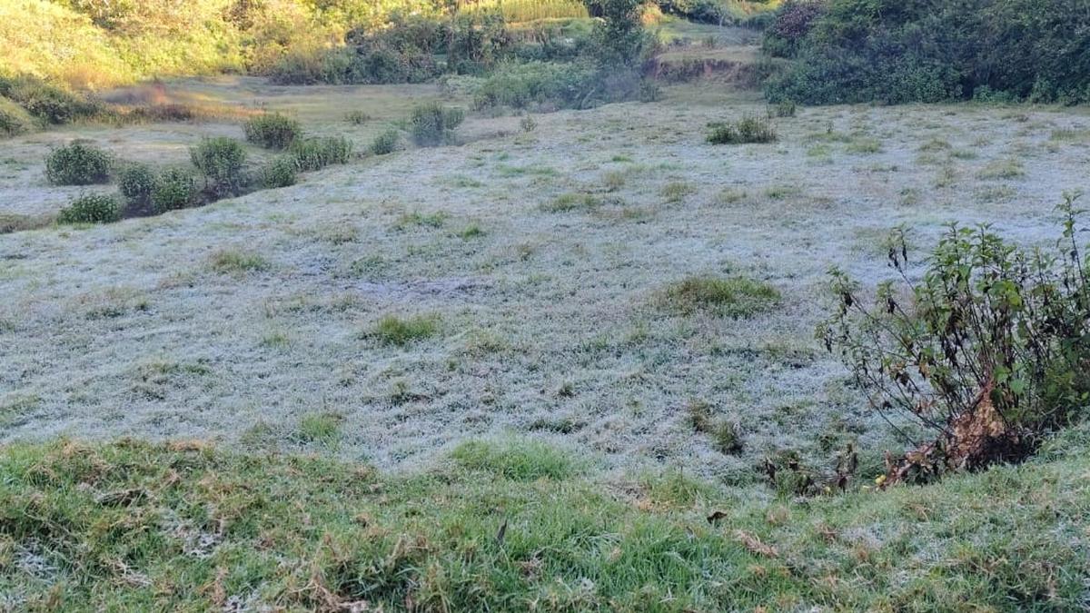 Munnar hill station shivers, Chenduvarai witnesses sub-zero temperature