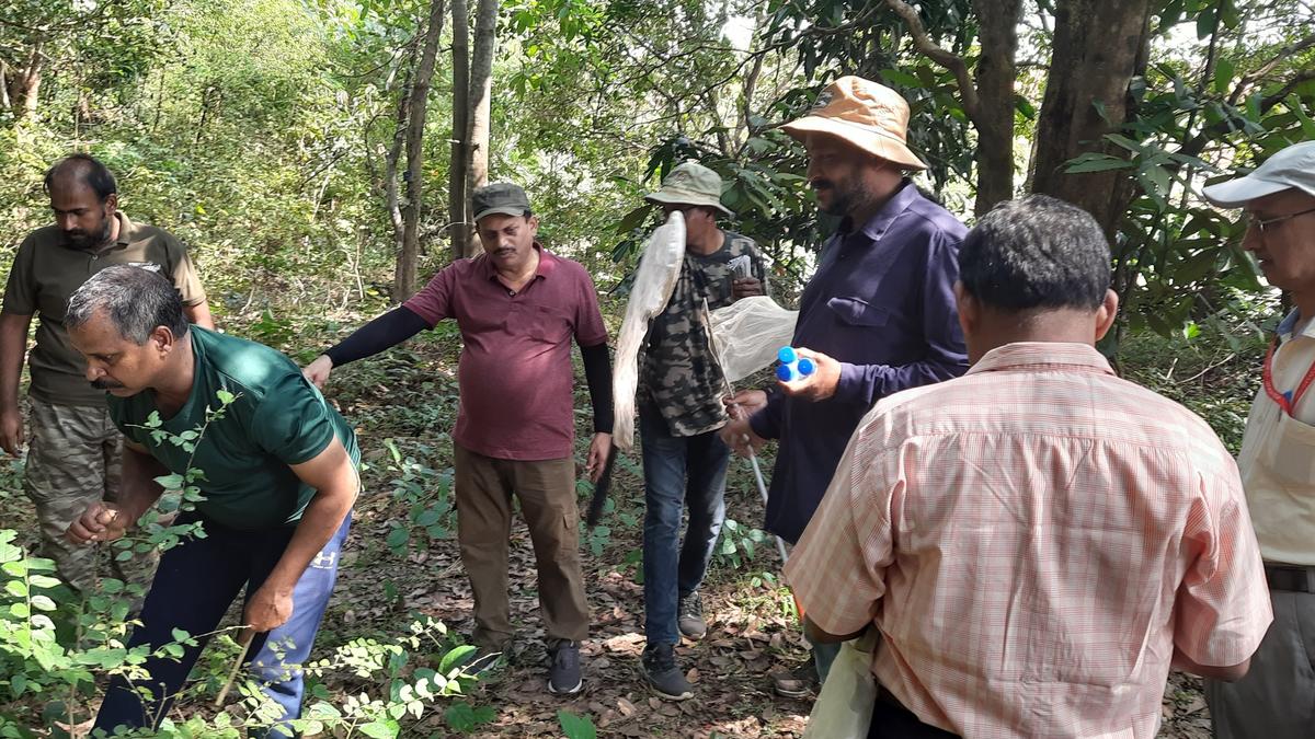 Rare initiative: Zoological Survey of India conducts faunal diversity survey on a university campus