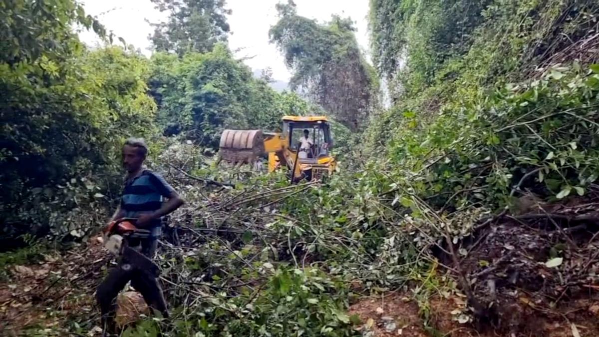 Heavy rain lashes ghat section near Bodinayakkanur