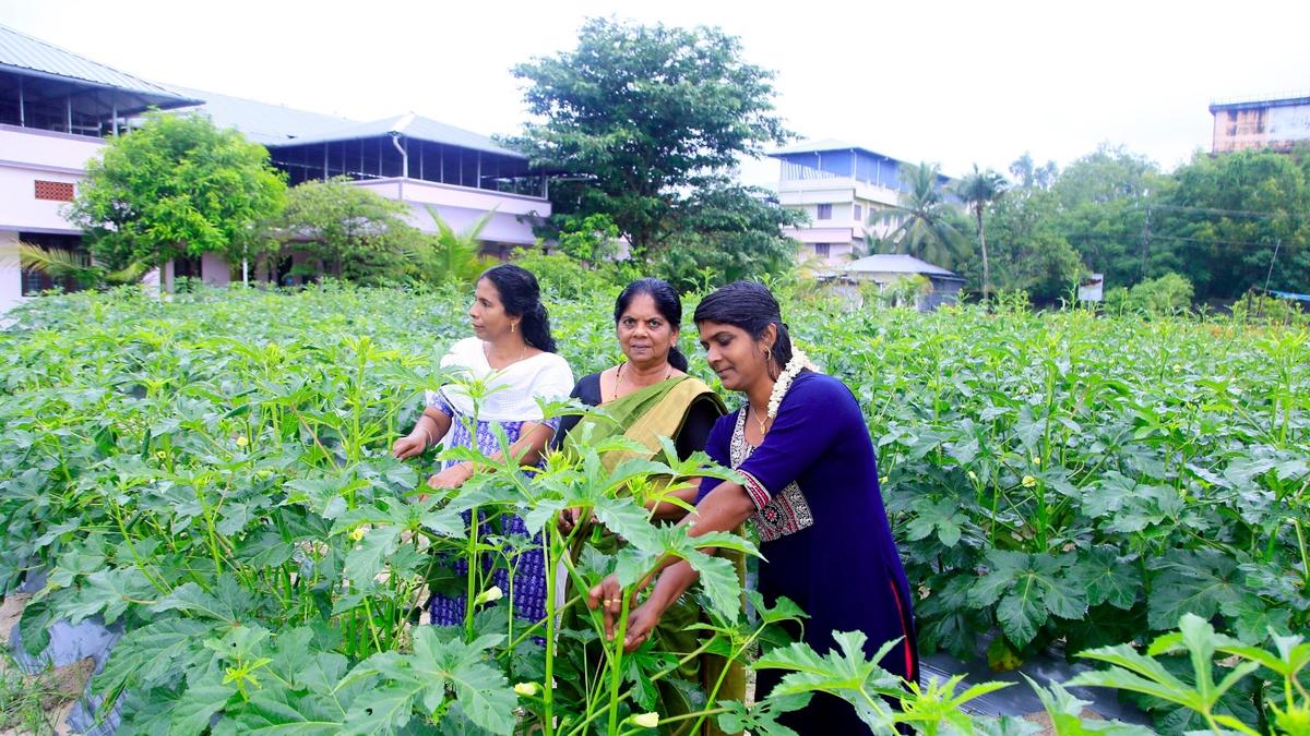 Five women take a veggie route to script a success story