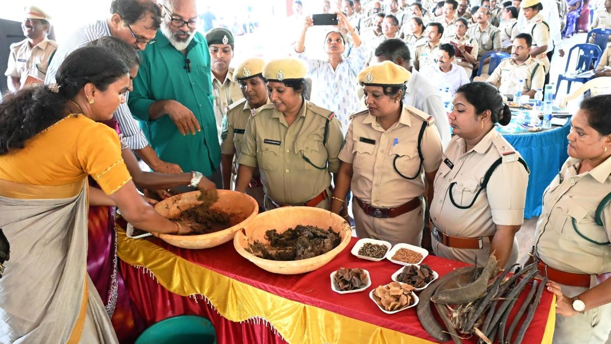 Seed balls can aid expansion of green cover: forest official