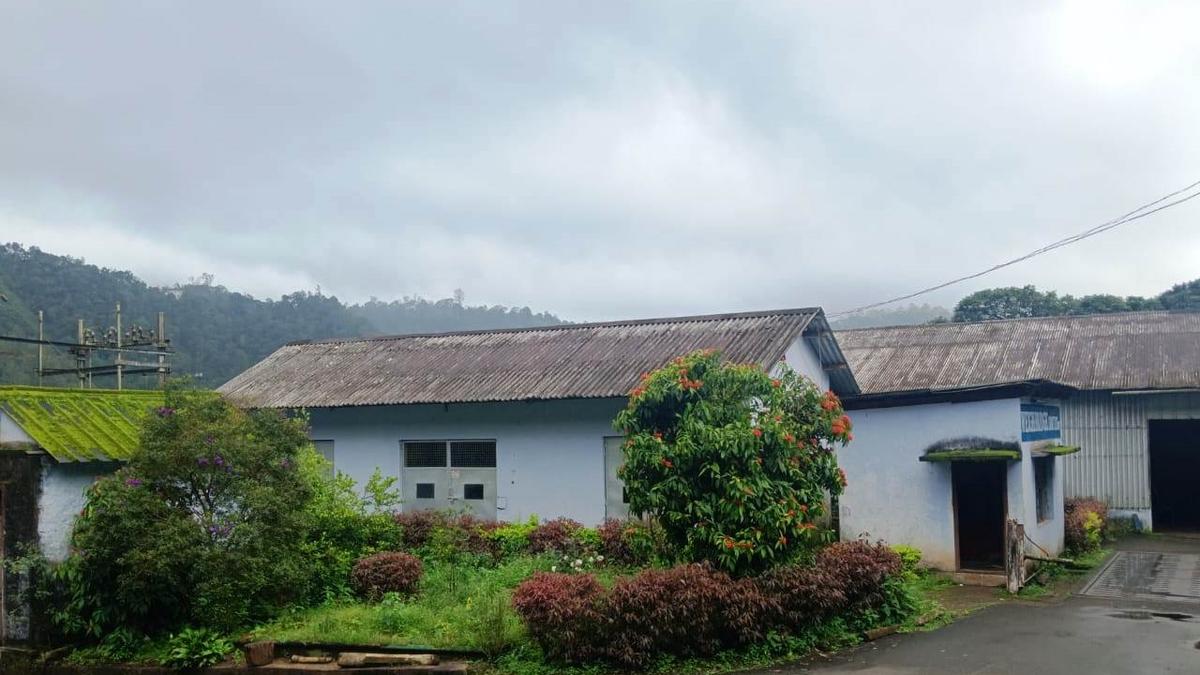 Lockout at Haileyburia Tea Estates withdrawn, work to resume on September 2