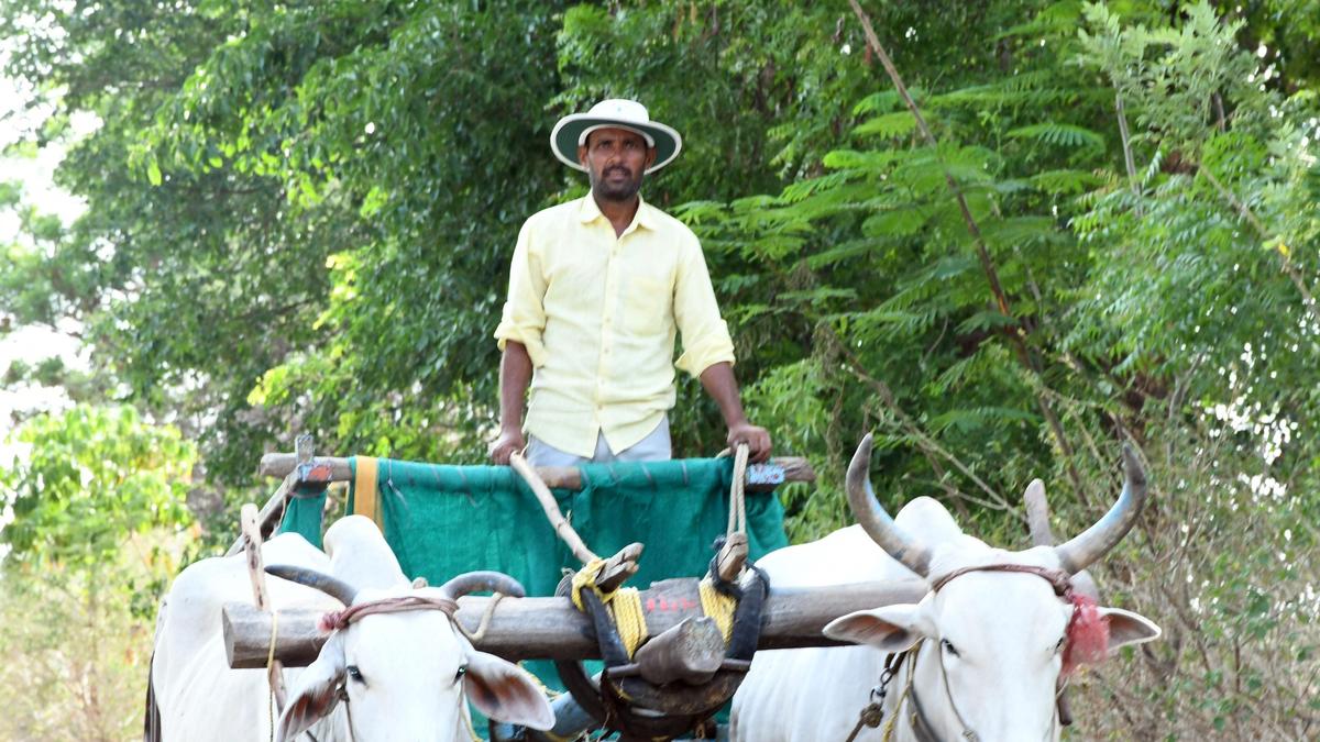 Heat conditions intensify in Telangana, Adilabad records highest temperature of 44.5℃ on May 15