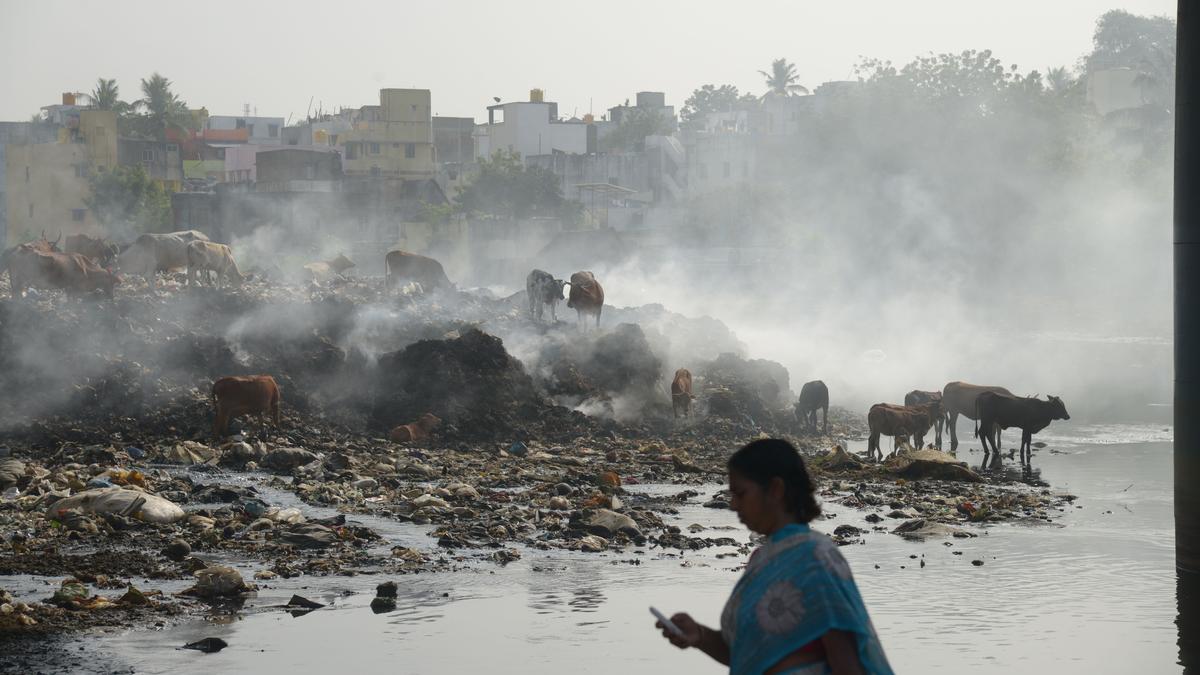 Chennai residents decry indiscriminate burning of waste on vacant lands, allege inaction by authorities