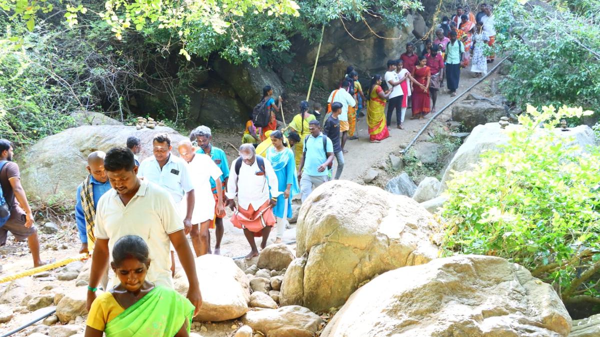Adi Amavasai festival: over 28,000 devotees climb Sathuragiri hills