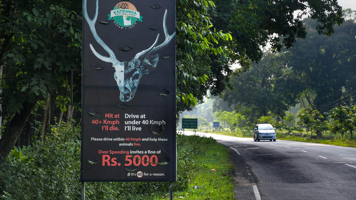 Flood approaching; speed guns on highway along Kaziranga National Park out of order