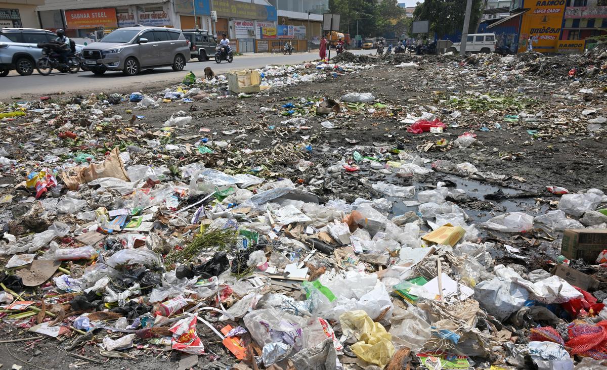 Garbage strewn along a road at Sikkander Chavadi in Madurai.