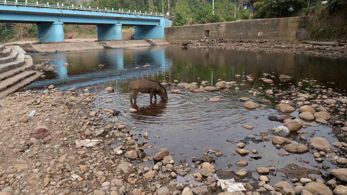 Central Travancore stares at extreme drought conditions