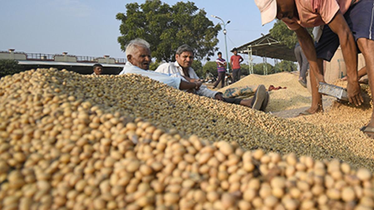 Soybean purchase extended by 15 days in Maharashtra