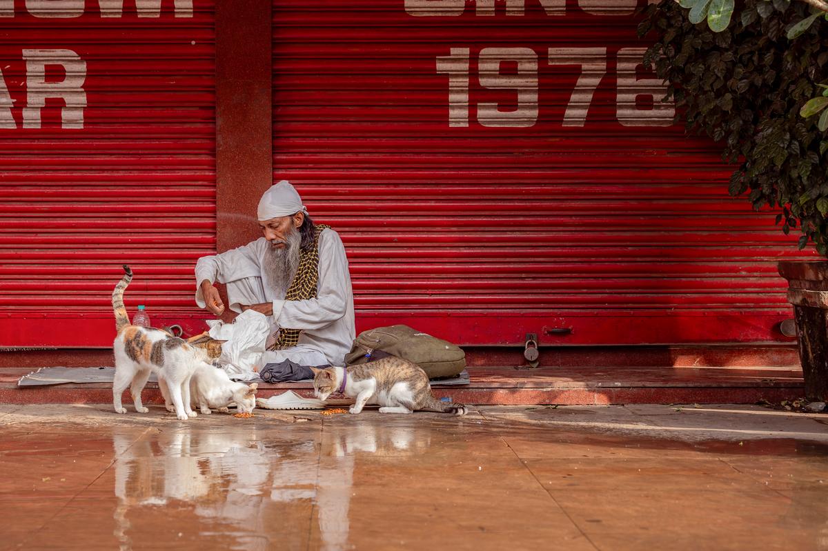 ऋषभ सिन्हा द्वारा एक तस्वीर