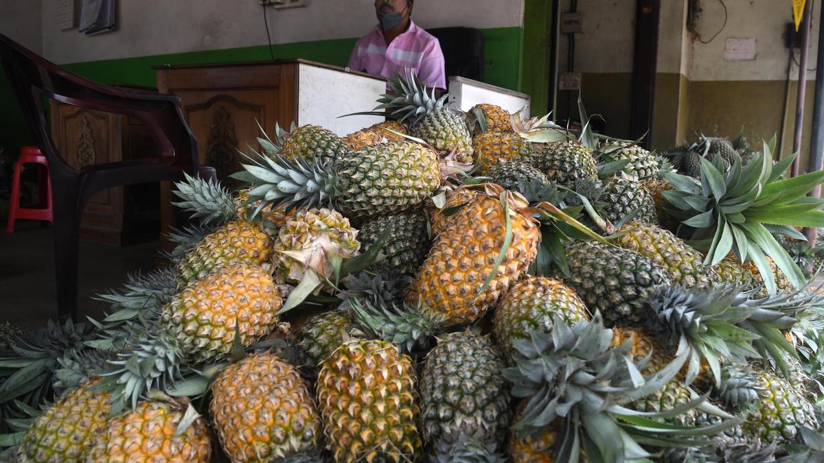 Kerala Assembly Elections 2026: From water woes to farmers’ distress, local issues steer campaign narrative in Ernakulam