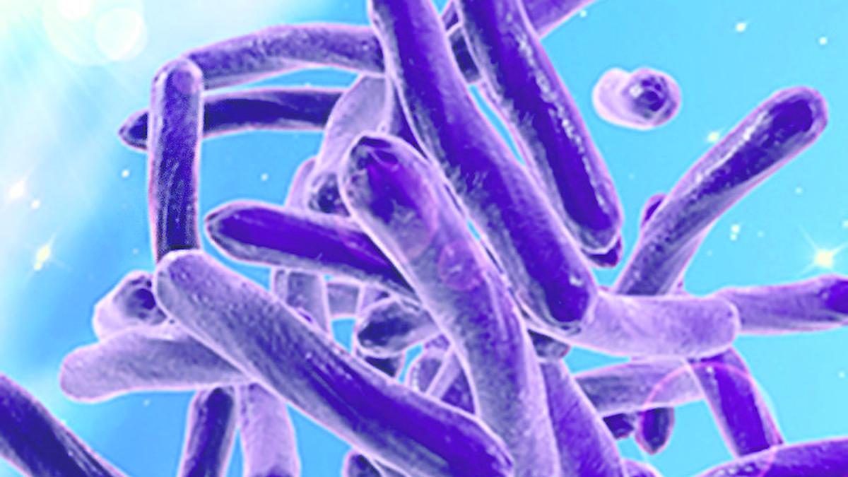 Kerala achieves milestone in AMR control efforts