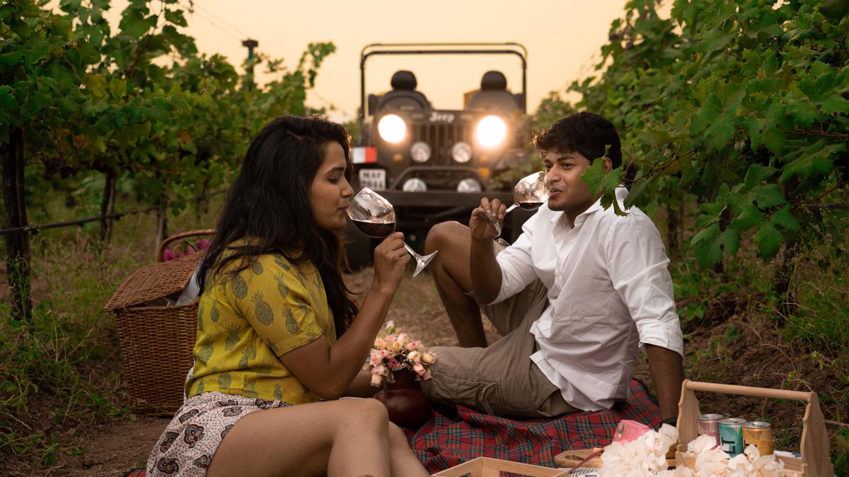 Vineyard tourism thrives in India as domestic tourists enjoy memorable experiences like picnics and movie nights in wineries