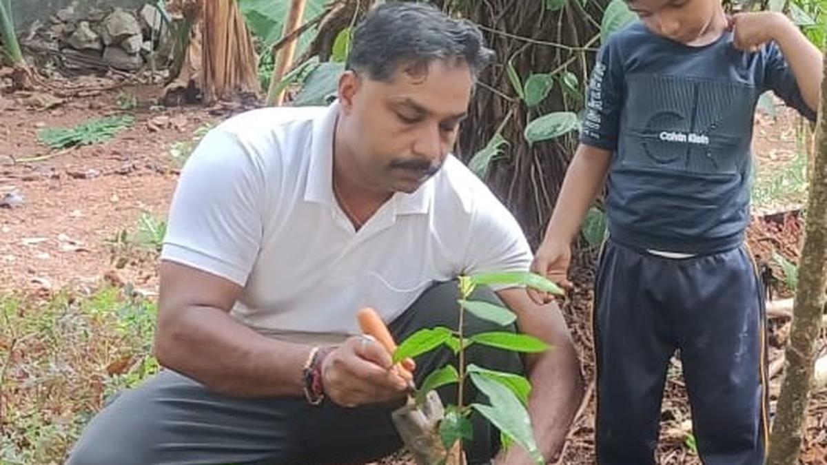 A residents’ association in Thiruvananthapuram propagates cultivation of rarely-grown perennial trees