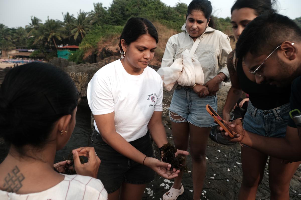 Gabriela explaining the seaweed varieties