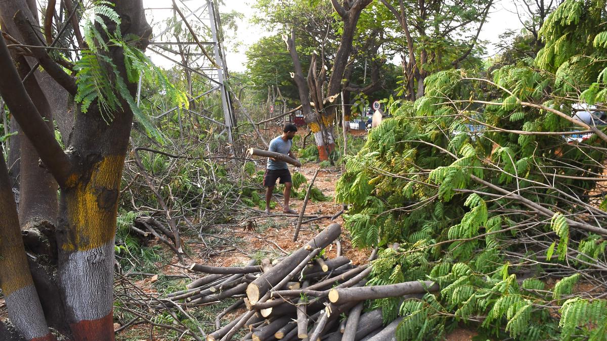GVMC is giving facelift to green belt between Visakhapatnam Airport and Isukathota